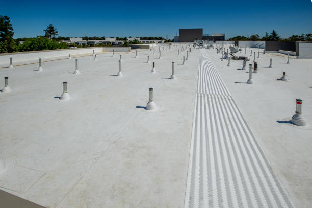 Best Roof Coating and Sealing  in Country Squire Lakes, IN